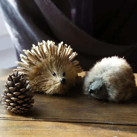 Apartment Gite La Chancellerie Chateau-Thierry